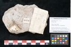 Foto (Objekt + Etikett) von Plantae indet.  (NHMW-GEO-2024-0188-10174)